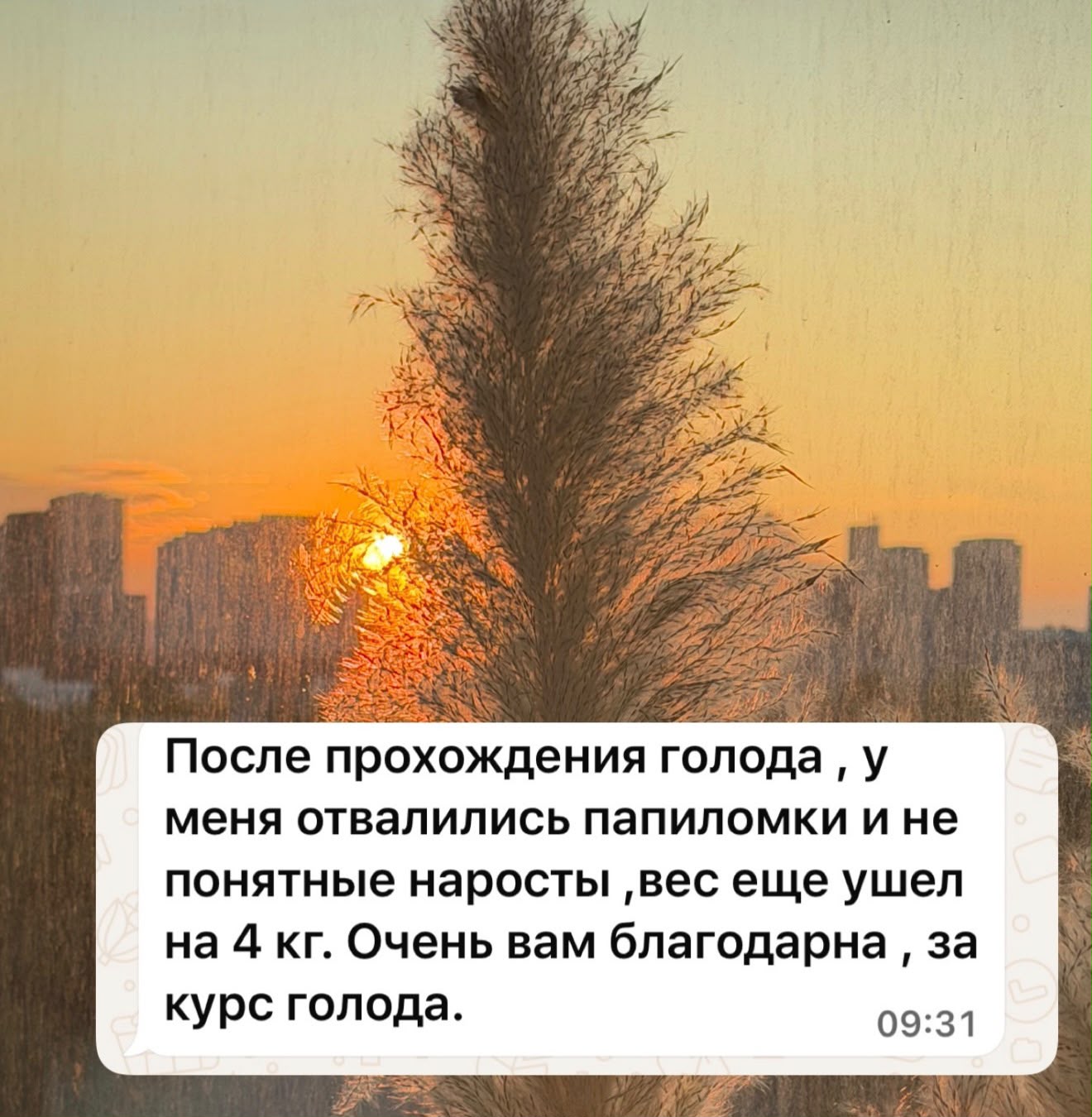 Материал клиента 50